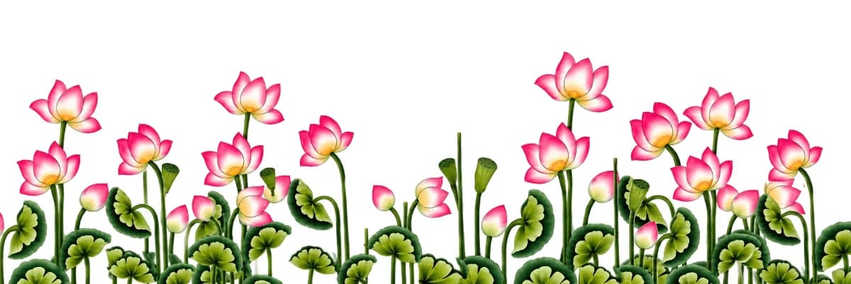 Saree borders - lotus  — image 1