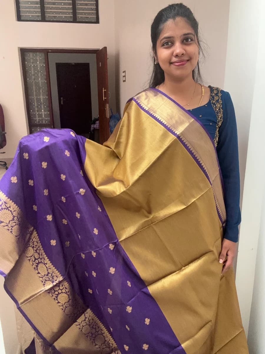 Semi Banarasi saree - Half and Half — image 1